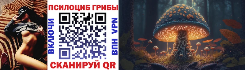 Псилоцибиновые грибы GOLDEN TEACHER Петухово